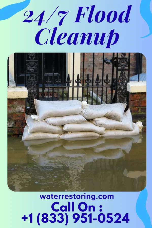 24/7 Flood Cleanup in Griggstown, NJ