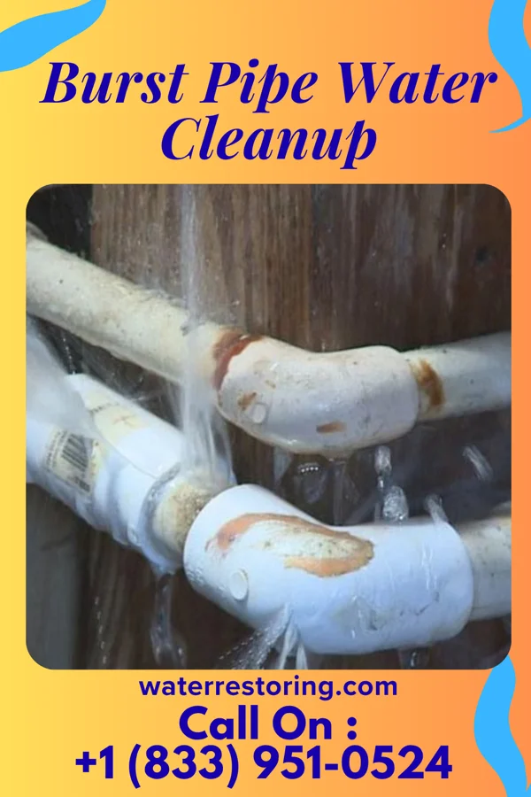 Burst Pipe Water Cleanup in Griggstown, NJ