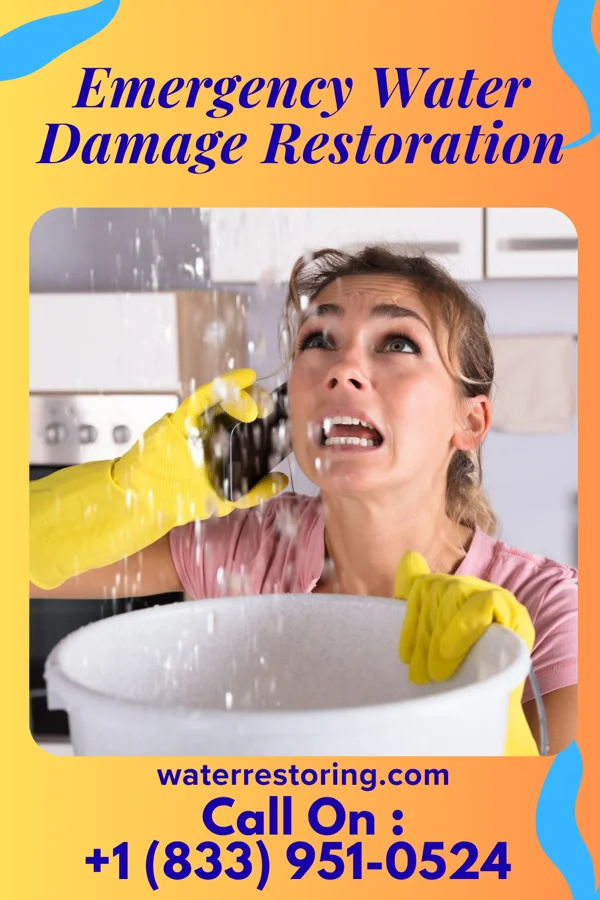 Emergency Water Damage Restoration in Griggstown, NJ