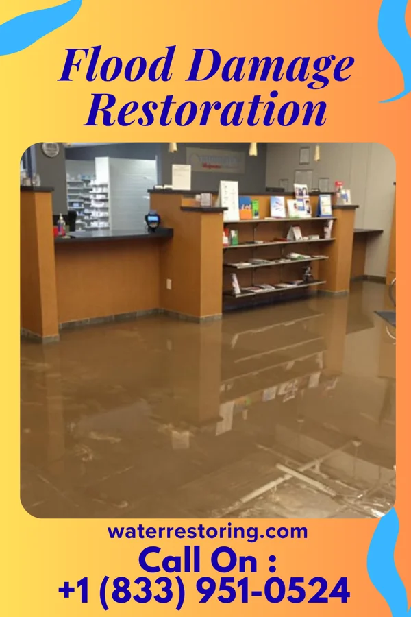 Flood Damage Restoration in Griggstown, NJ