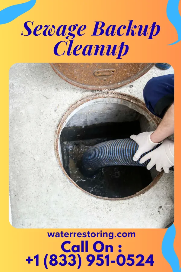 Sewage Backup Cleanup in Griggstown, NJ