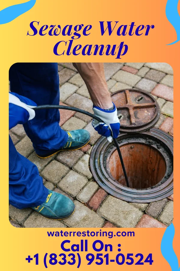 Sewage Water Cleanup in Griggstown, NJ